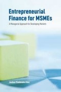 Entrepreneurial Finance for MSMES: A Managerial Approach for Developing Markets