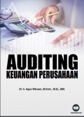 Auditing Keuangan Perusahaan