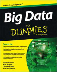 Image of Big Data for Dummies